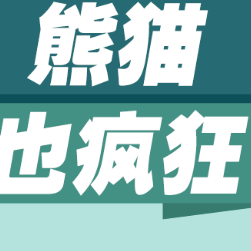 熊猫也疯狂